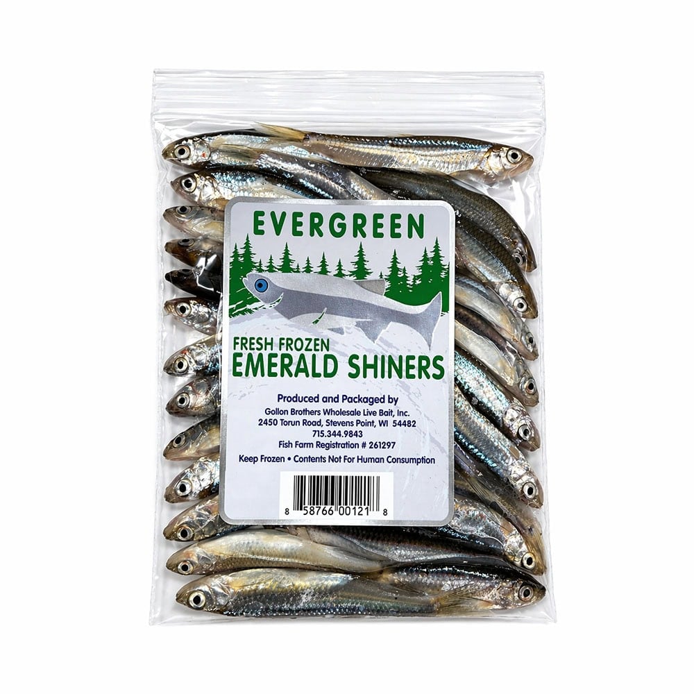 A clear image of a sealed plastic bag containing fresh frozen Emerald Shiners, a popular bait fish, with a label indicating the product is produced and packaged by Gollon Brothers Wholesale Livestock.