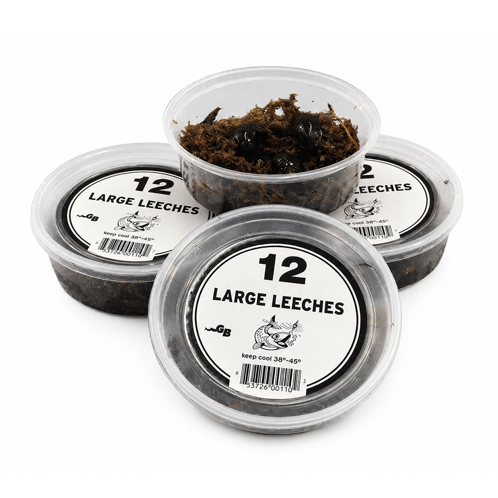 Three clear plastic containers filled with large leeches, ideal for fishing bait, labeled with "12 Large Leeches" and a fish illustration, keep cool at 38-45°F.
