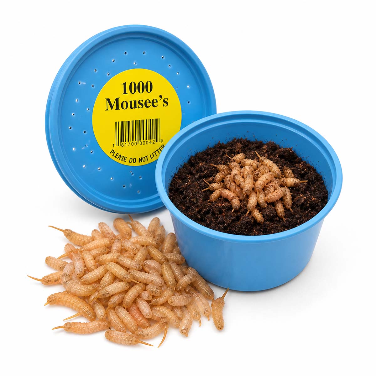 A blue container with soil and mealworms, labeled "1000 Mousee's," used for raising mealworms as pet food or for composting, ideal for insect farming and sustainable protein sources.