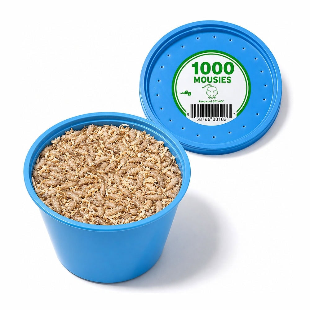 A blue container filled with 1000 mouse bait pellets, designed for effective rodent extermination, with a matching lid labeled "1000 MOUSE" for secure storage and easy identification.
