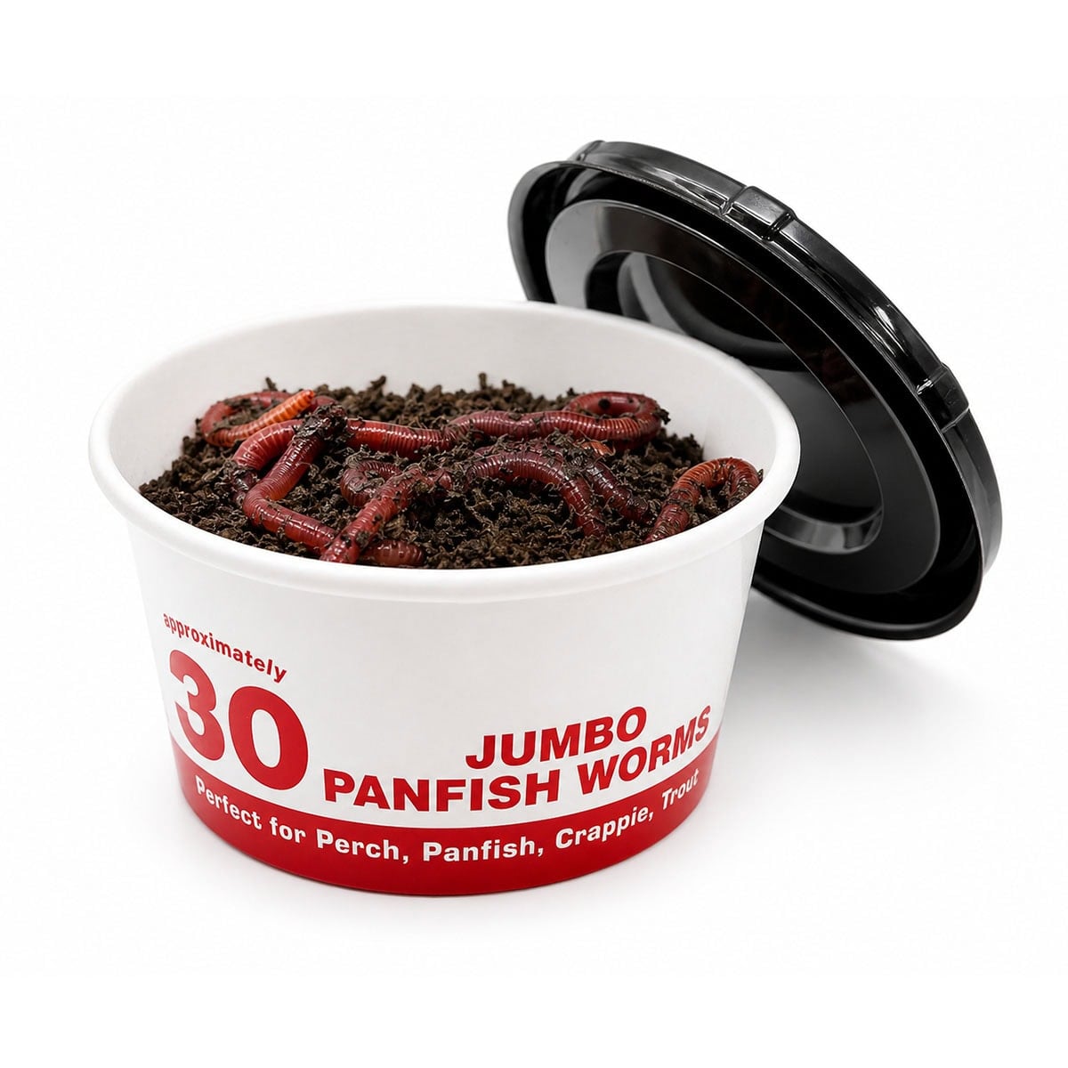 A close-up of a white container filled with red jumbo panfish worms on soil, designed for fishing bait, with a black lid partially open, ideal for anglers seeking effective bait options.