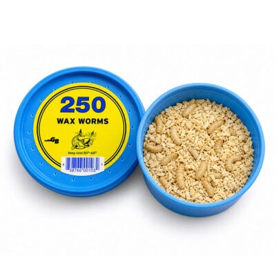A blue container filled with 250 wax worms, used as fishing bait, with a label indicating the quantity and storage instructions for freshness.