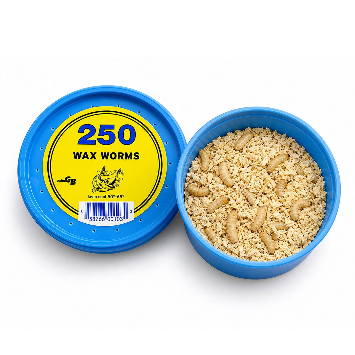 A blue container filled with 250 wax worms, used as fishing bait, with a label indicating the quantity and storage instructions for freshness.